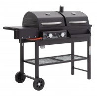 2 Burner Gas And Charcoal BBQ