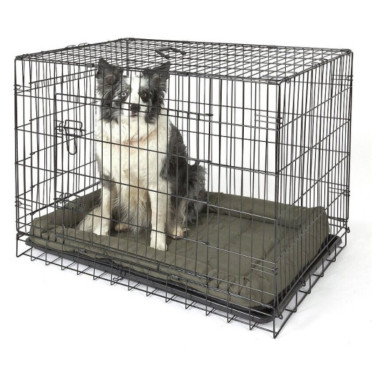 Double Door Dog Crate- Large | Pet Cage Kennel for Home Large Breed Dogs