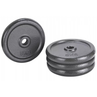 20kg Weight Plates Set For Dumbbells & Barbell 1 Inch (4 x 5kg) Cast Iron Discs
